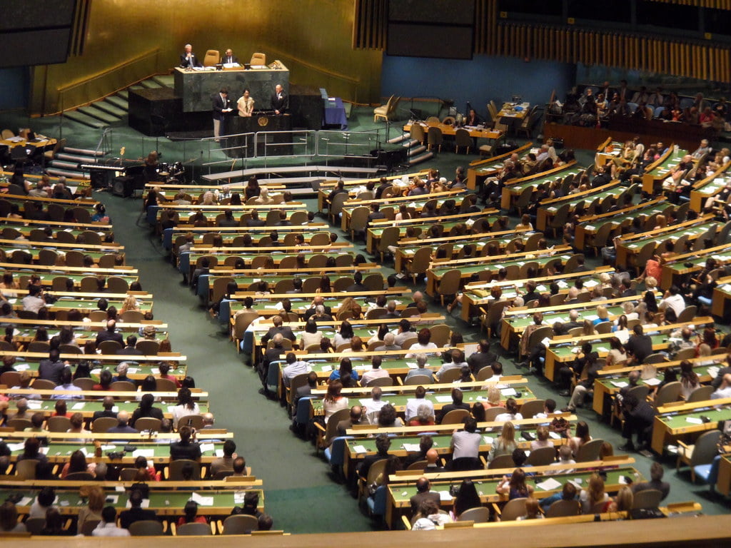 What is wrong with the United Nations to warrant the founding of an organisation like UN-aligned?
