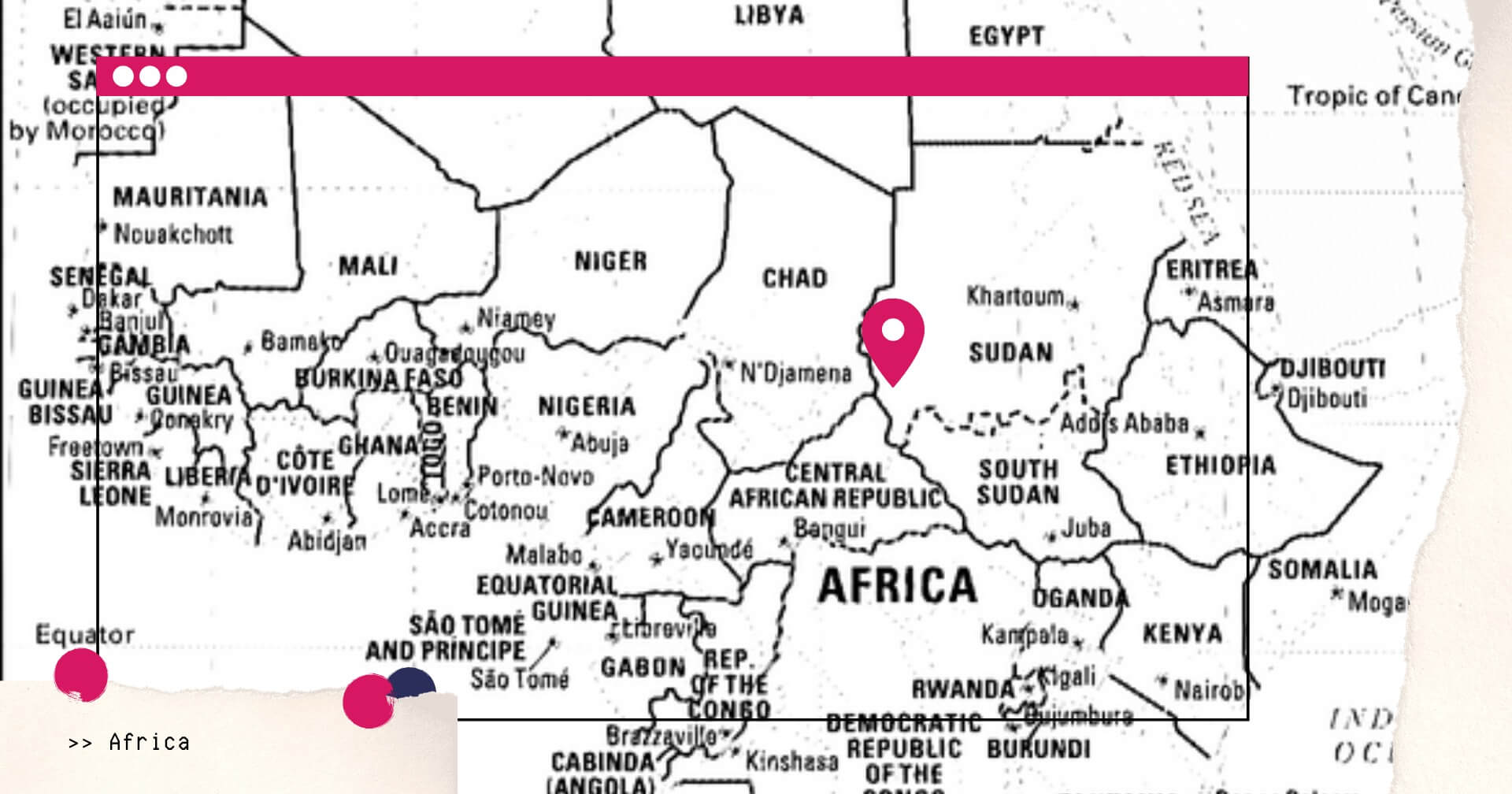 What you may have missed January 2021