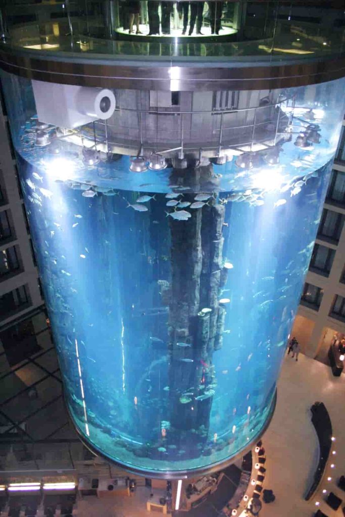 The AquaDom in Germany