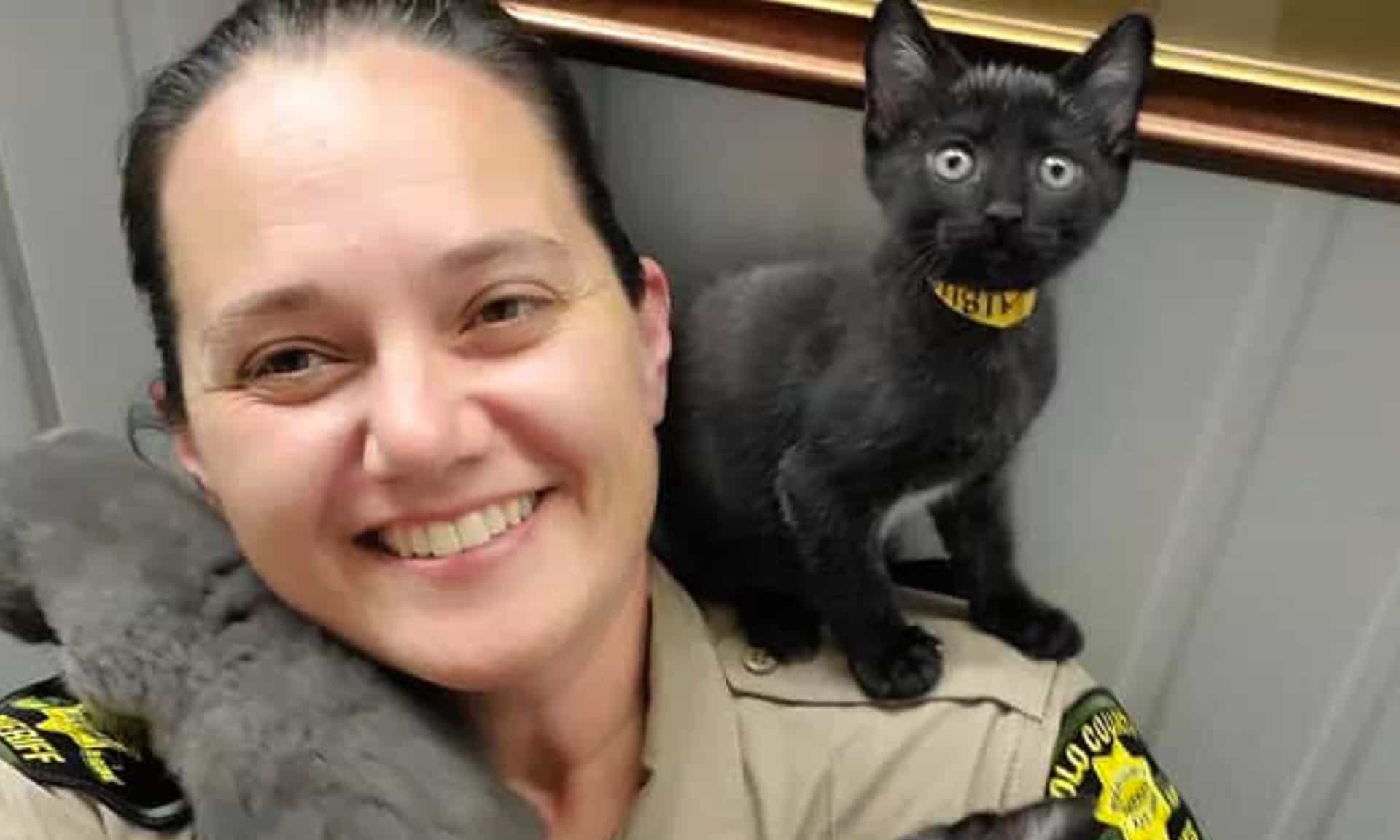 How CalAnimals is making a difference for animals in California