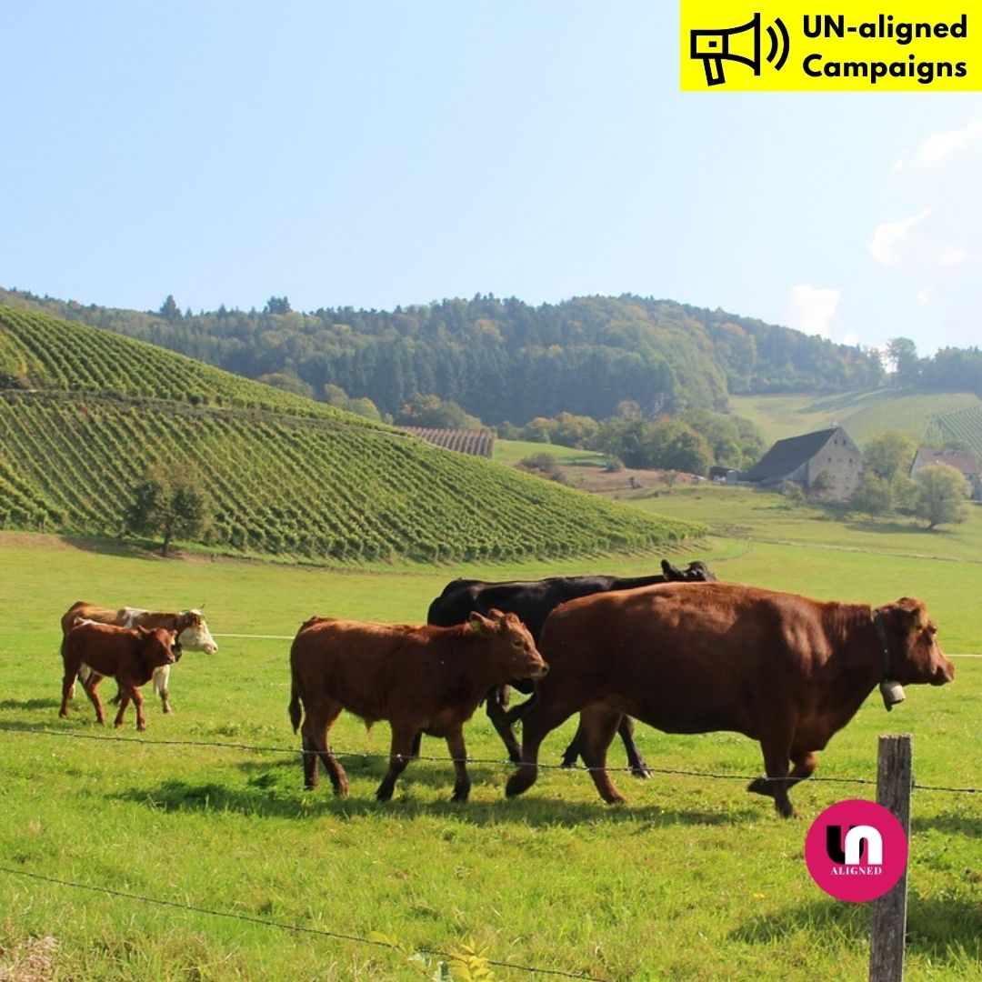 Letters: Help us raise our banner in support of animals