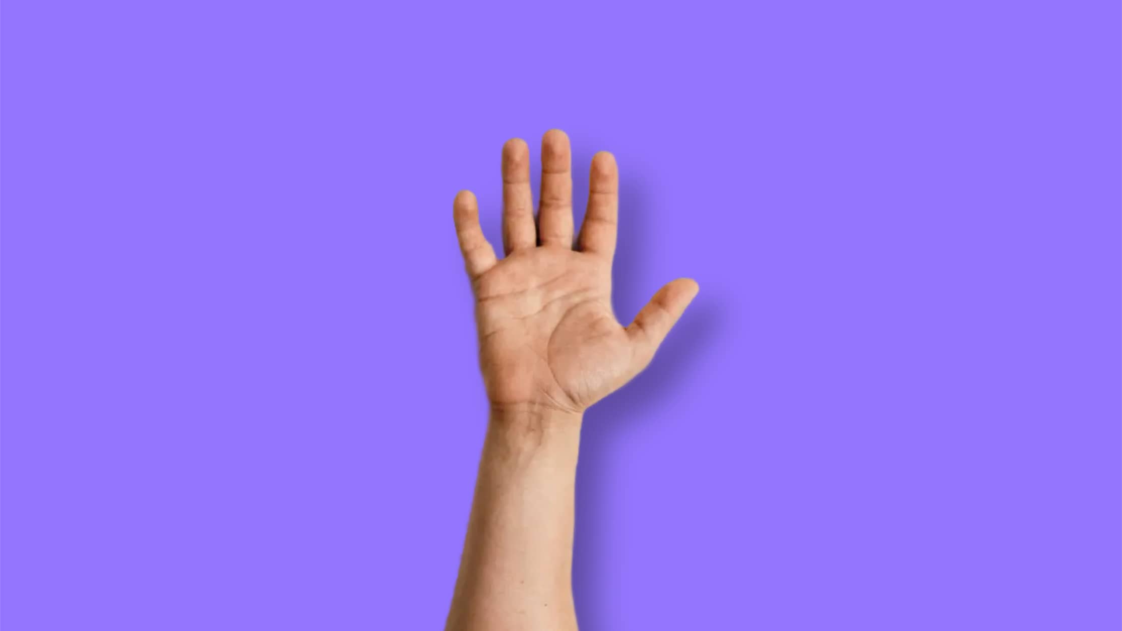 Support The Gordian with a Patreon subscription