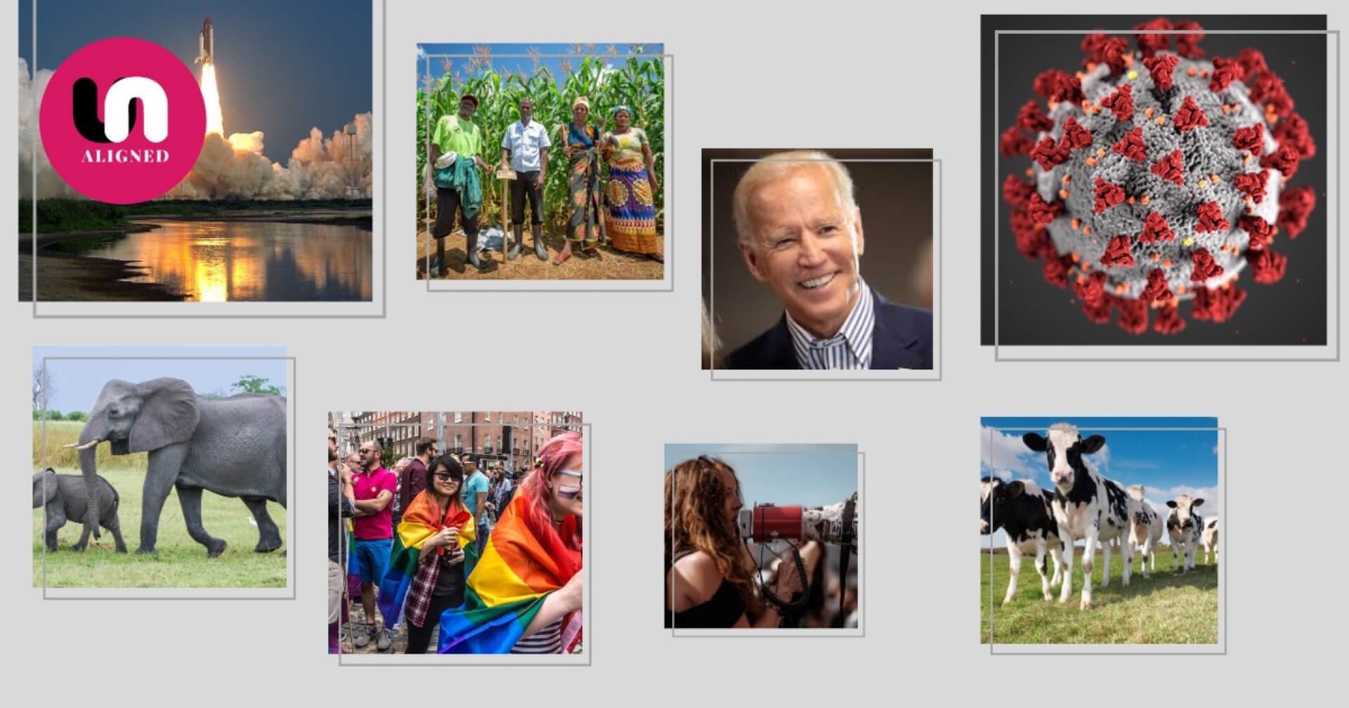 Annus Horribilis? Looking on the brighter side of 2020