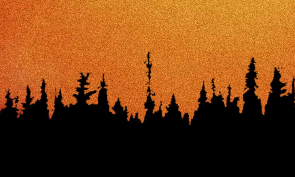 how to prevent forest fires