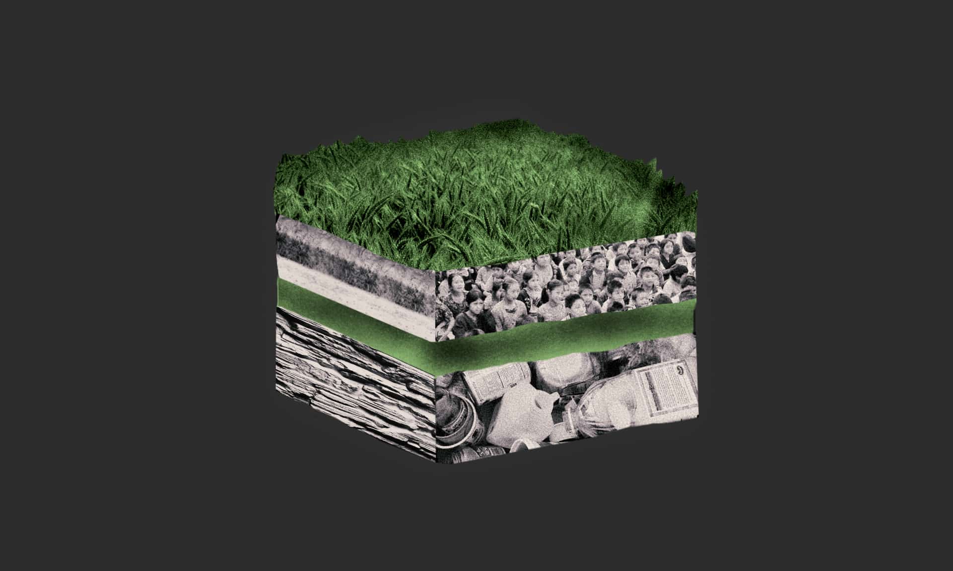 Making environment and development go hand in hand