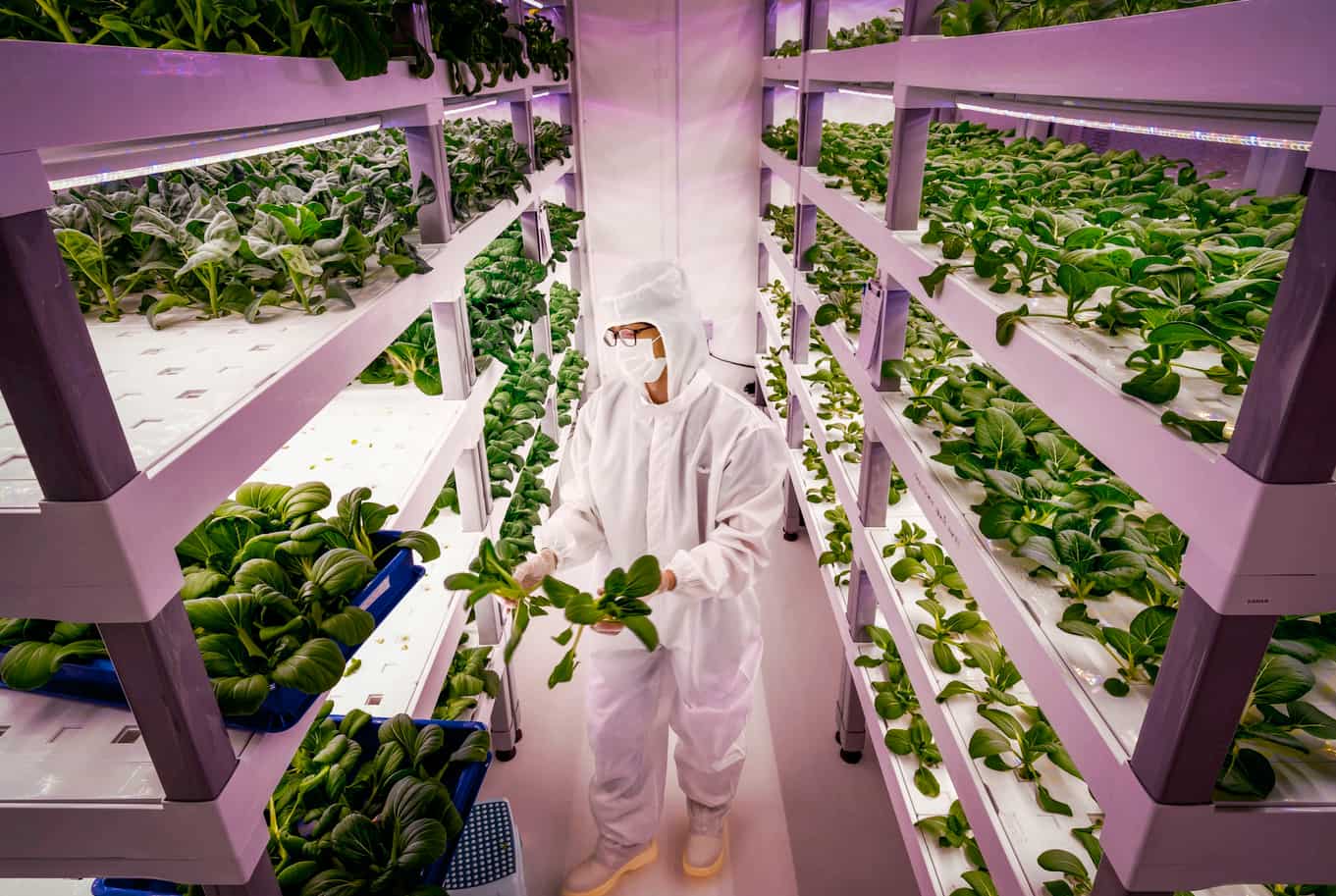 Unlocking the Power of a Thriving Bioeconomy