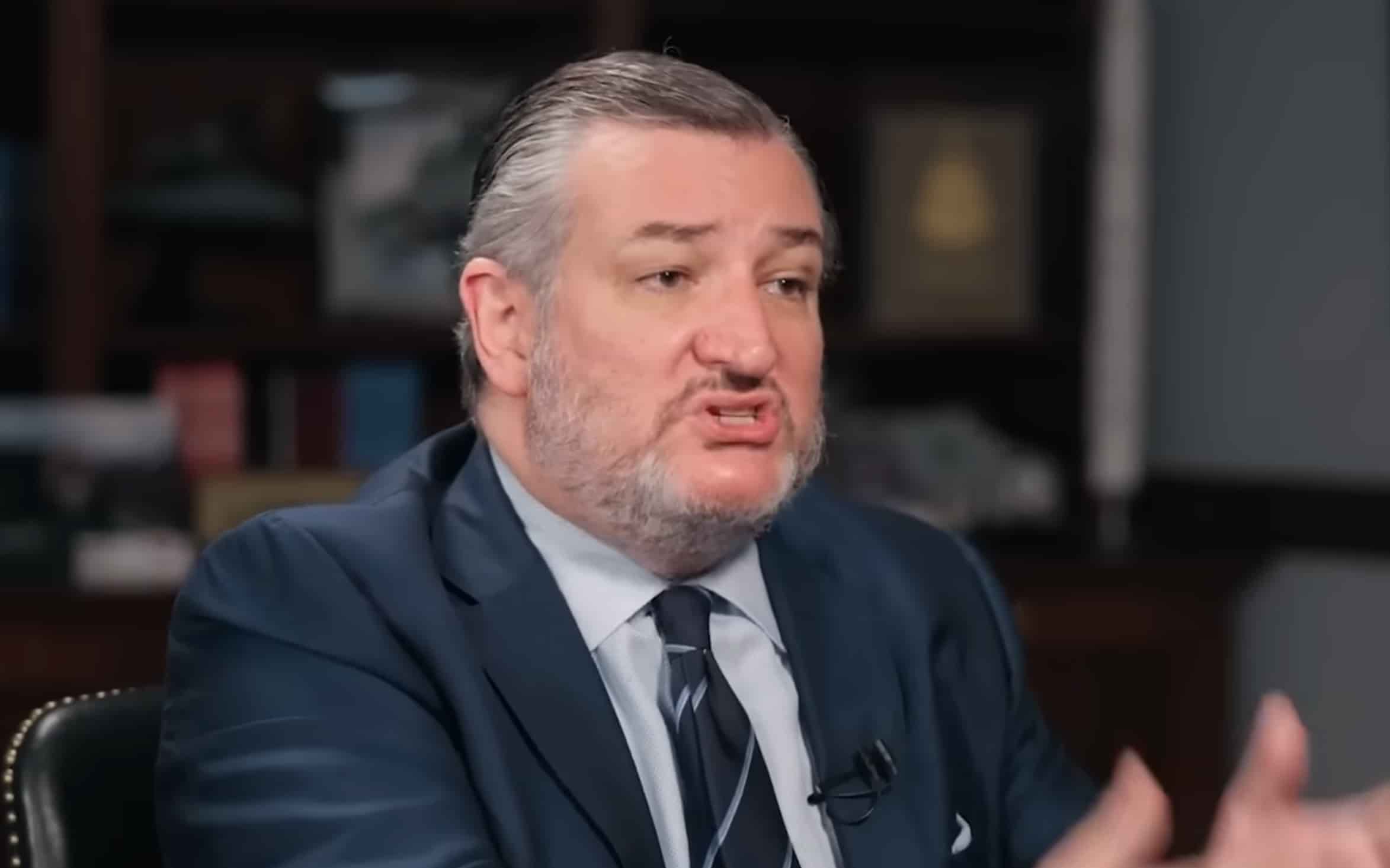 Senator Ted Cruz on the Tucker Carlson show. Photo: screenshot of the video