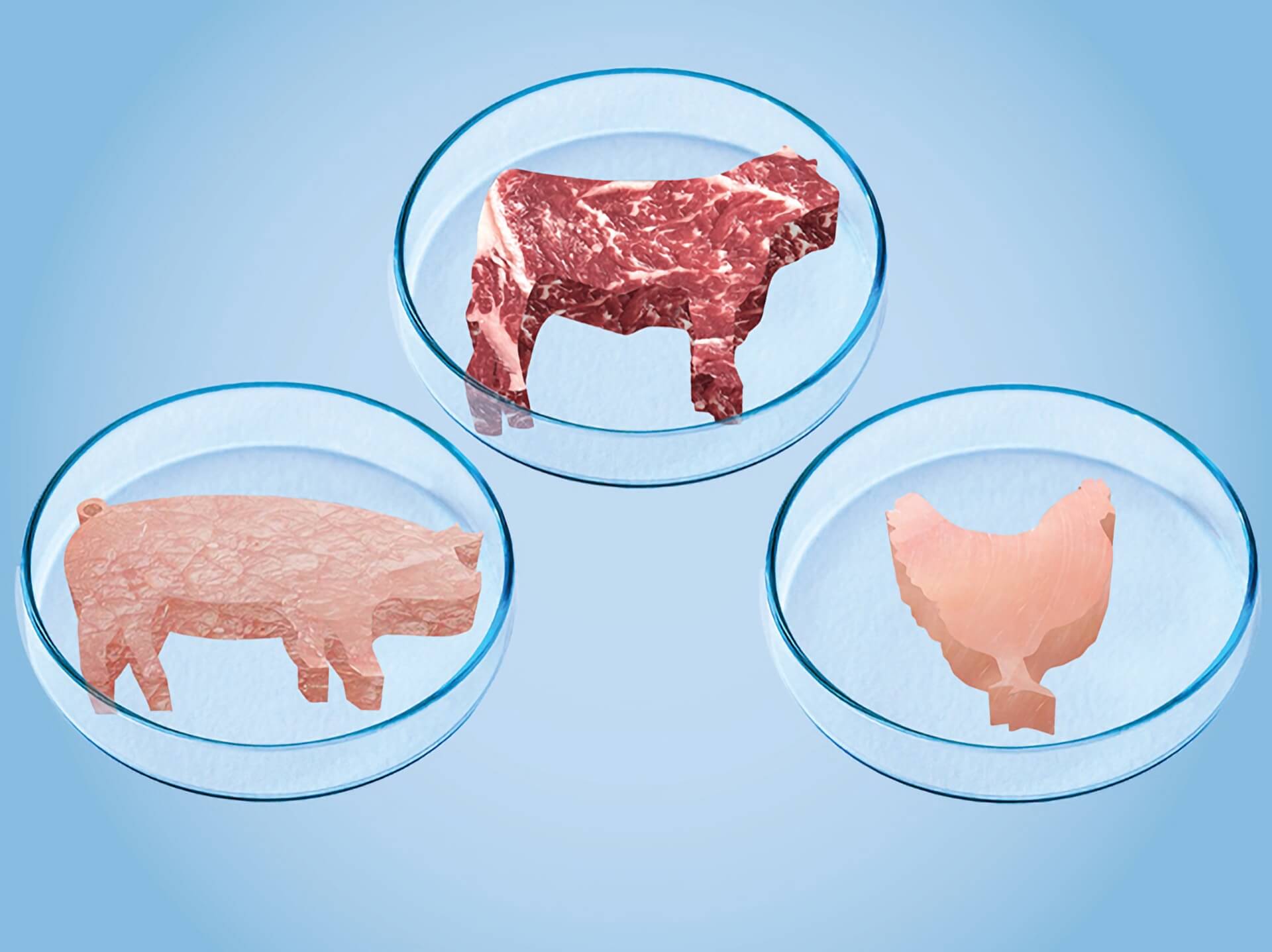 How cultivated meat can save the planet